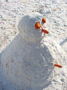 王雪球